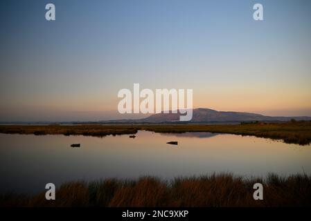 RSPB Loch Leven Perth und Kinross Stockfoto