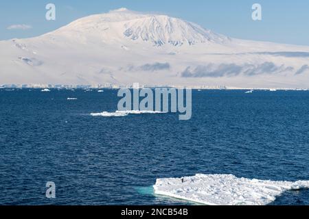 Antarktis, Ross-Insel. Ross Sea Blick auf Mount Erebus, zweithöchster Vulkan in der Antarktis. Adelie-Pinguin auf Eisberg. Stockfoto