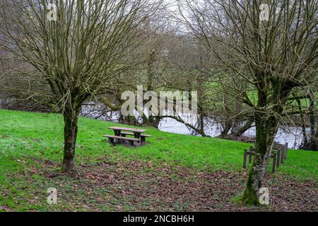 Leere Bänke mit Tischen für Touristen, die sich auf dem grünen Gras in der Nähe des Flusses ausruhen können. Ein Ort der Ruhe für Touristen und Reisende. Stockfoto