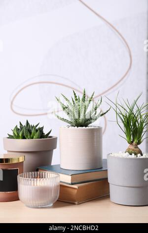 Wunderschöne Nolina, Aloe und Haworthia in Töpfen mit Dekor auf Holztisch. Verschiedene Zimmerpflanzen Stockfoto