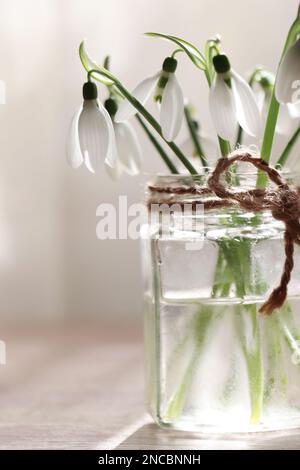 Schöne Schneeglöckchen im Glasglas, drinnen, aus der Nähe. Erste Frühlingsblumen Stockfoto