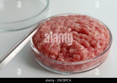 Petrischale mit rohem Hackfleisch und Pinzette auf weißem Tisch, Nahaufnahme Stockfoto