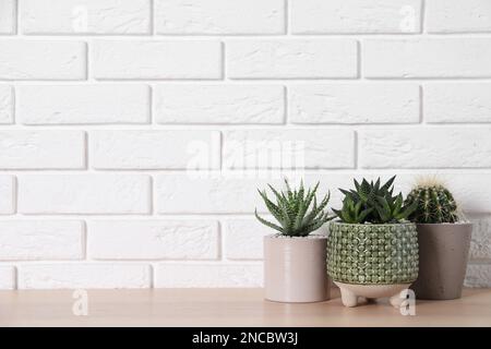 Wunderschöne Kakteen, Aloe und Haworthia in Töpfen auf einem Holztisch nahe der weißen Backsteinwand, Platz für Text. Verschiedene Zimmerpflanzen Stockfoto