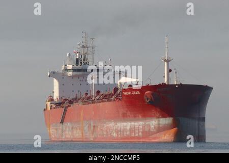 Der Arctic Char, ein 48.000-Tonnen-Öltanker, fährt hoch aus dem Wasser, nachdem er seine Fracht entladen hat, vor Anker im Hafen von Gibraltar, September 2022. Stockfoto