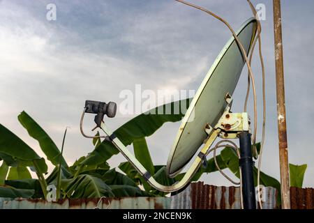 Satellitenschüssel auf einem Zaun mit tropischen Bäumen im Hintergrund Stockfoto