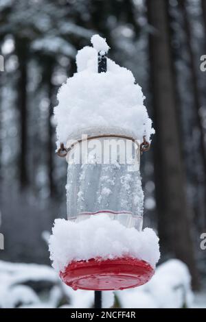 Ein Kolibri-Futterhaufen voller Schnee in Eugene, Oregon. Stockfoto