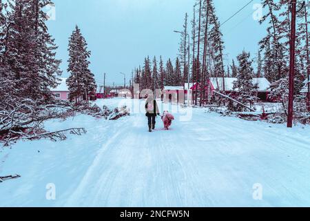 Abstraktes Foto im Cyberpunk-Stil eines Mädchens, das tagsüber mit einem weißen Hund im Schnee auf einer Dorfstraße in der Nähe des Waldes spaziert. Stockfoto