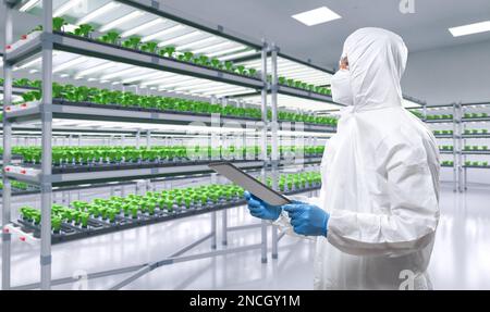 Arbeiter trägt medizinischen Schutzanzug oder weißen Overall-Anzug in intelligentem Indoor Farm System erhöhte Pflanzen auf Regalen wachsen mit LED-Licht Stockfoto