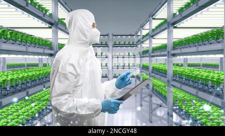 Arbeiter trägt medizinischen Schutzanzug oder weißen Overall-Anzug in intelligentem Indoor Farm System erhöhte Pflanzen auf Regalen wachsen mit LED-Licht Stockfoto