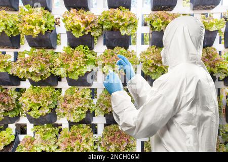 Arbeiter trägt medizinischen Schutzanzug oder weißen Overall-Anzug in intelligentem Indoor Farm System erhöhte Pflanzen auf Regalen wachsen mit LED-Licht Stockfoto