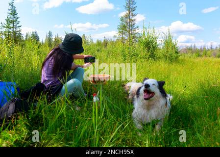 Ein Mädchen mit Hut, das auf dem grünen Gras sitzt, macht ein Selfie am Telefon mit einem weißen, fröhlichen Hund im Sommer im Wald von Yakutia. Stockfoto