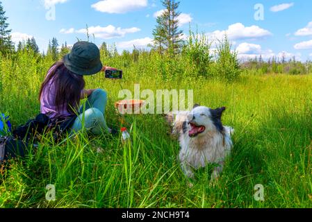 Ein Mädchen mit Hut, das auf dem grünen Gras sitzt, macht ein Selfie am Telefon mit einem weißen, fröhlichen Hund im Wald. Stockfoto