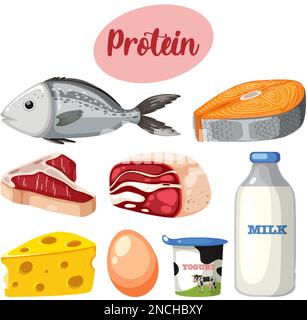 Variety of protein foods with text illustration Stock Vektor