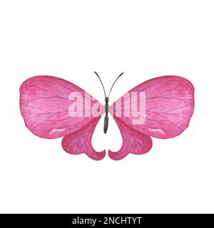 Magentafarbener heller Schmetterling mit detaillierten Flügeln auf weißem Hintergrund. Aquarell handgezeichnete realistische Insektenlustration für Design-Banner, Stockfoto