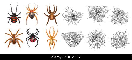 Realistische, isolierte Spinnennetz-Symbolgruppe mit sechs Spinnen und Vektordarstellung verschiedener Spinnennetze Stock Vektor