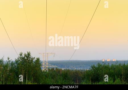 Der Spitzenanker aus Metall für Überlandleitungen mit Drähten befindet sich auf dem Hang über den Waldbäumen auf einem Hintergrund von sanftem Orange Stockfoto