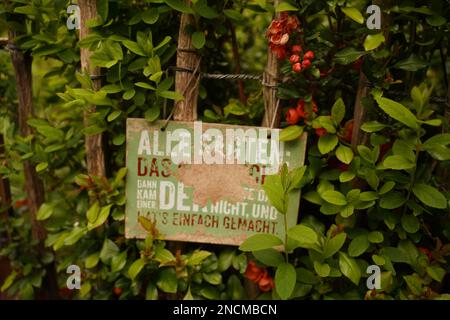 Ein altes Schild im Garten mit deutscher Inschrift: apfelpflücken ist verboten Stockfoto