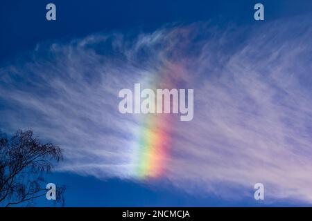 Eine Regenbogenwolke vor blauem Himmel, ein seltenes optisches Phänomen in der Atmosphäre Stockfoto