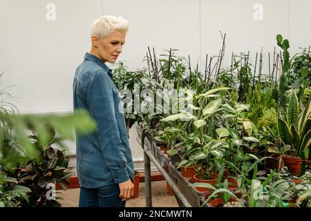 Mädchen hält Pflanzen im Topf. Blumenladen. In der Botanik geht es um Pflanzen, Blumen Stockfoto
