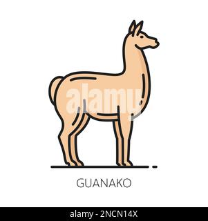 Guanaco lama Guanicoe, Kamelide aus Südamerika, Lama-Tier-Farbsymbol. Vector Argentinien Reisesymbol, Guanakopferd Stock Vektor