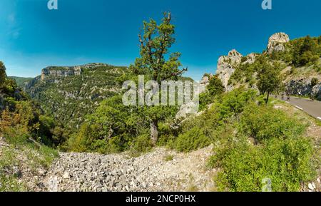 Gorges de la Nesque Stockfoto