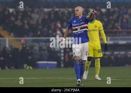 Genua, Italien. 13. Februar 2023. Italien, Genua, februar 13 2023: Bram Nuytinck (Sampdoria-Verteidiger) gibt in der ersten Hälfte Ratschläge während des Fußballspiels SAMPDORIA gegen FC INTER, Serie A 2022-2023 day22 im Ferraris-Stadion (Foto: Fabrizio Andrea Bertani/Pacific Press). Kredit: Pacific Press Media Production Corp./Alamy Live News Stockfoto