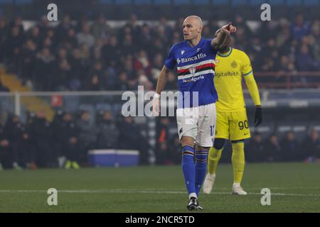 Genua, Italien. 13. Februar 2023. Italien, Genua, 13 2023. februar: Bram Nuytinck (Sampdoria-Verteidiger) gibt in der ersten Hälfte während des Fußballspiels SAMPDORIA gegen FC INTER, Serie A 2022-2023 day22 im Ferraris-Stadion Ratschläge (Bild: © Fabrizio Andrea Bertani/Pacific Press via ZUMA Press Wire) NUR REDAKTIONELLE VERWENDUNG! Nicht für den kommerziellen GEBRAUCH! Stockfoto