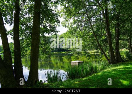 Paddelteich in Bad Wünnenberg. Natur im Park mit einem kleinen See. Stockfoto