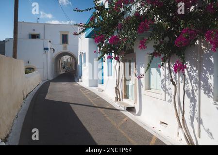 Eine enge Straße vor weißen Wänden mit rosa Blumen, die darüber wachsen Stockfoto
