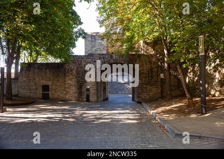 Frankreichportal in der Pamplona-Mauer. Auf die Xacobeo-Art. Spanien. Blick von der Carmen Street Stockfoto