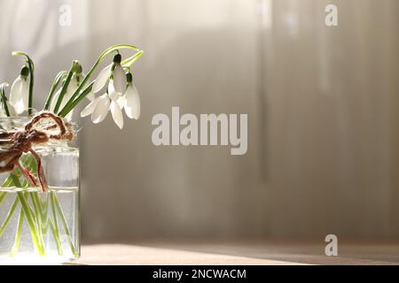 Schöne Schneetropfen im Glasbehälter im Innenbereich, Platz für Text. Erste Frühlingsblumen Stockfoto