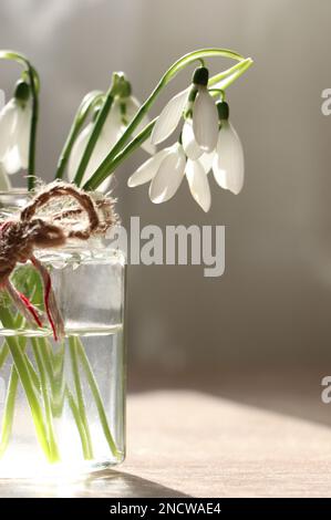Wunderschöne Schneeglöckchen im Glasbehälter im Innenbereich. Erste Frühlingsblumen Stockfoto
