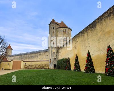 Weihnachtsbaumdekorationen an den Wänden des Schlosses Blandy-les-Tours Stockfoto