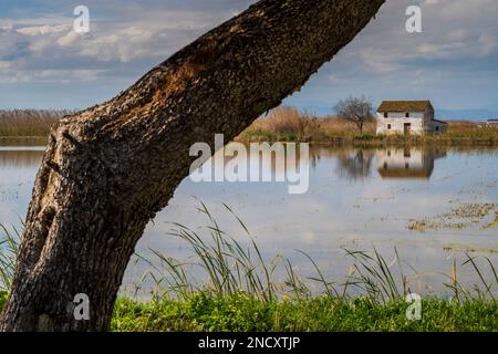 Malerischer Blick auf den Naturpark Albufera, Valencia, Spanien Stockfoto