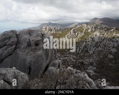 Felsvorsprung mit Vegetation, Palenica-Nationalpark Stockfoto