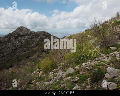 Felsvorsprung mit Vegetation, Palenica-Nationalpark Stockfoto