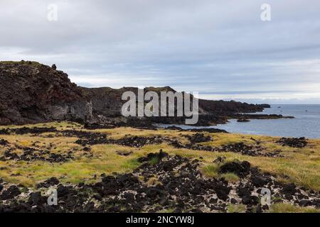 Melancholische isländische Landschaft mit dunklen vulkanischen Lavafeldern, grünem und gelbem Gras und Blick auf den Atlantischen Ozean mit niedrigen grauen Wolken. Stockfoto