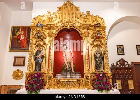 Sevilla, Spanien - 4. Januar 2023: Bild des Christus der Demut und Geduld aus dem 17. Jahrhundert, begleitet von Bildern von San Antonio und San Stockfoto