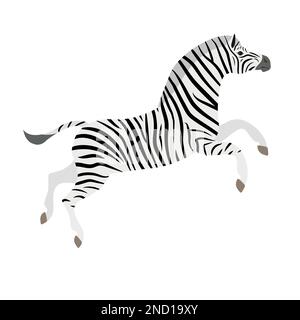 Von Hand gezeichnetes, flaches, hüpfendes Zebra, isoliert auf weißem Hintergrund Stock Vektor