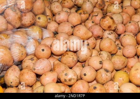 Guava Fruit im Supermarkt - Psidium guajava. Stockfoto