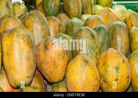 Papaya-Früchte im Supermarkt - Wissenschaftliche Bezeichnung: Carica Papaya. Stockfoto