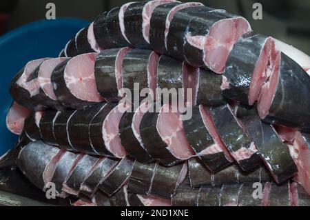 Fische, Wolfsbarsch-Basa (Pangasius bocourti). Stockfoto