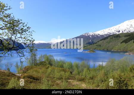 Sorfjorden, (Sørfjorden) ein 38 km langer Seitenfjord zum Hardangerfjord in Norwegen Stockfoto