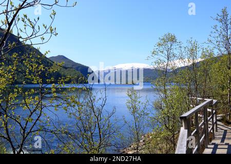 Sorfjorden, (Sørfjorden) ein 38 km langer Seitenfjord zum Hardangerfjord in Norwegen Stockfoto