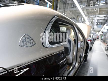 Sindelfingen, Deutschland. 13. Februar 2023. Mitarbeiter des Stuttgarter Automobilherstellers Mercedes-Benz arbeiten im Werk 56 im Merecdes-Benz-Werk in Sindelfingen an der Fertigungsstraße für Luxusfahrzeuge und Luxusfahrzeuge. Neben den Umweltqualitätsnormen kommen alle Varianten der Mercedes-Benz S-Klasse und der Mercedes-Maybach S-Klasse ab Werk 56 vom Band. Kredit: Bernd Weißbrod/dpa/Alamy Live News Stockfoto