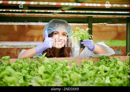 Junge Frau, die Pflanzensamente im Gewächshaus hält. Fröhliche Gärtnerin, die Daumen nach oben zeigt und lächelt, während sie den Topf mit grüner Pflanze hält. Stockfoto