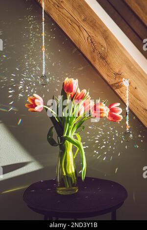 Regenbogen in Kristallkugelform macht Sonnenfänger, die an einem sonnigen Frühlingstag im Wohnzimmer hängen. Gutes Feng Shui, Sha Chi Reflexion, Energieflusskonzept Stockfoto
