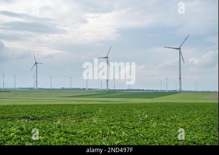 Windpark mit mehreren modernen Windturbinen für erneuerbare Energien, landwirtschaftliche Felder im vorderen Bereich, bewölkter Tag, Landschaft Stockfoto