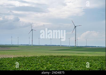 Windpark mit mehreren modernen Windturbinen für erneuerbare Energien, landwirtschaftliche Felder im vorderen Bereich, bewölkter Tag, Landschaft Stockfoto