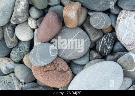 Meeressteine im Hintergrund. Selektiver Fokus. Steine verschiedener Formen und Farben, Draufsicht Stockfoto